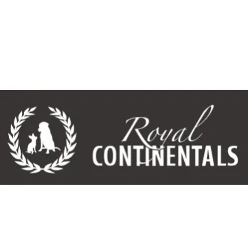 Firmenlogo von Labradors & Chihuahuas of RoyalContinentals