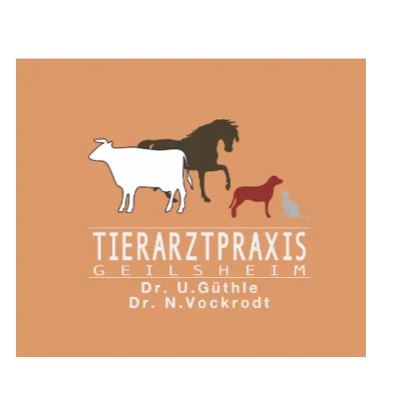 Firmenlogo von Tierarztpraxis Geilsheim - - Dr. Ulrich Güthle und Dr. Nicolas Vockrodt