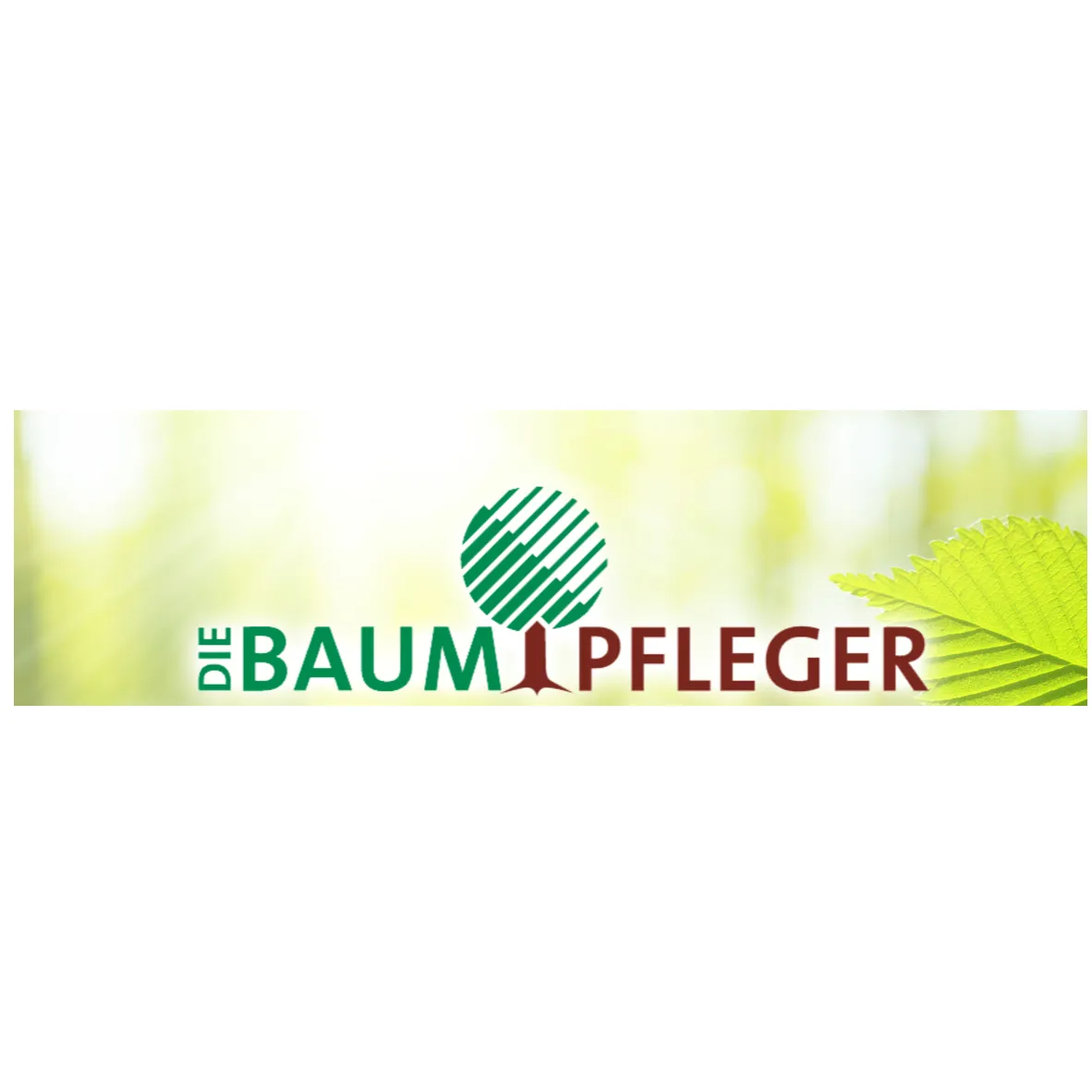 Firmenlogo von Die Baumpfleger - Biehl und Wagner GmbH