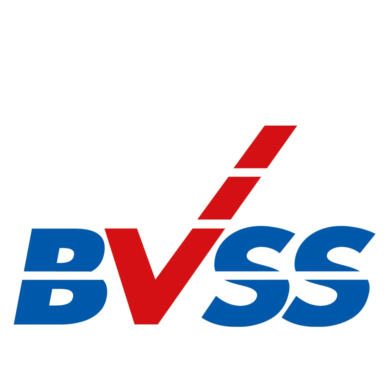 Firmenlogo von BVSS Baustellen-Verkehrs-Sicherungs-Service